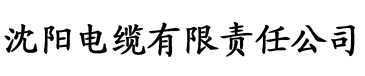 国产亚洲性色av大片久久香蕉电缆厂logo